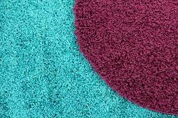 finsbury park carpet cleaning rental